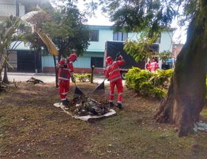 Así fue la operación de servicio de Aseo de Veolia en Palmira durante el mes de febrero