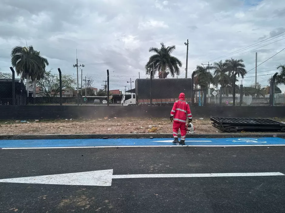 Feria Palmira